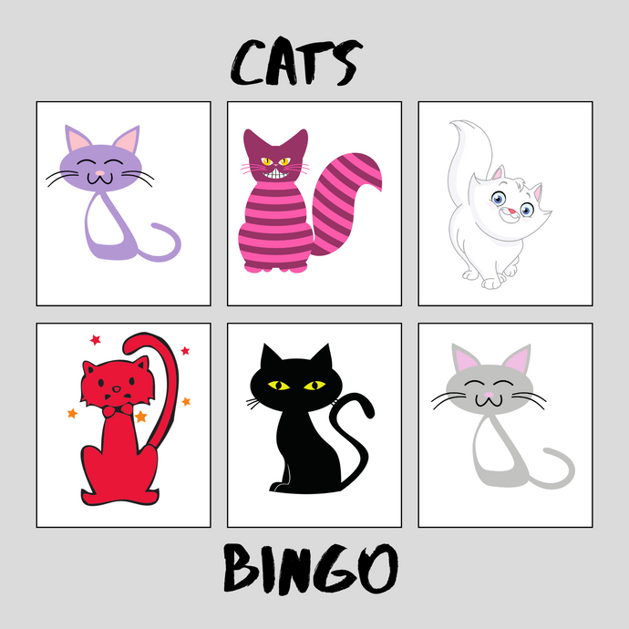 National Storytelling Week - Cats Bingo